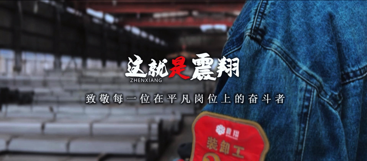 “这就是震翔”企业宣传片